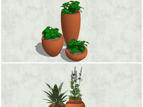 陶罐小景與植物藝術(shù) 探秘精品景觀設(shè)計(jì)的SU模型魅力